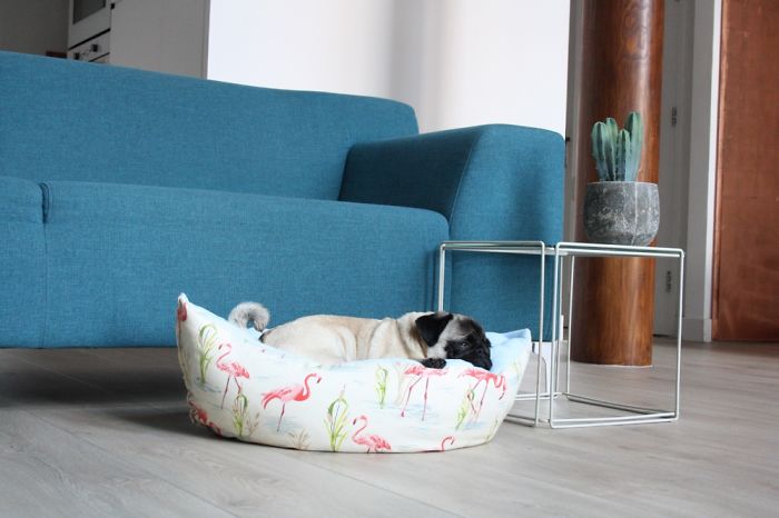 These Two Pugs Have The Hardest Job...