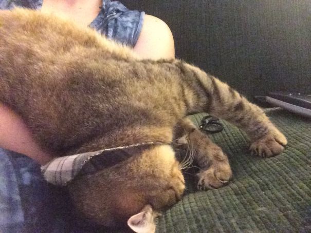 Doc Likes To Get High (off The Nip) And Then Sit In My Lap Like This