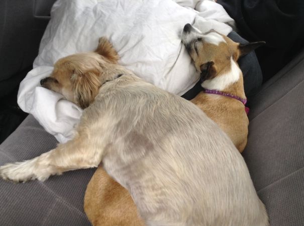 There Wasn't Enough Room On The Seat...