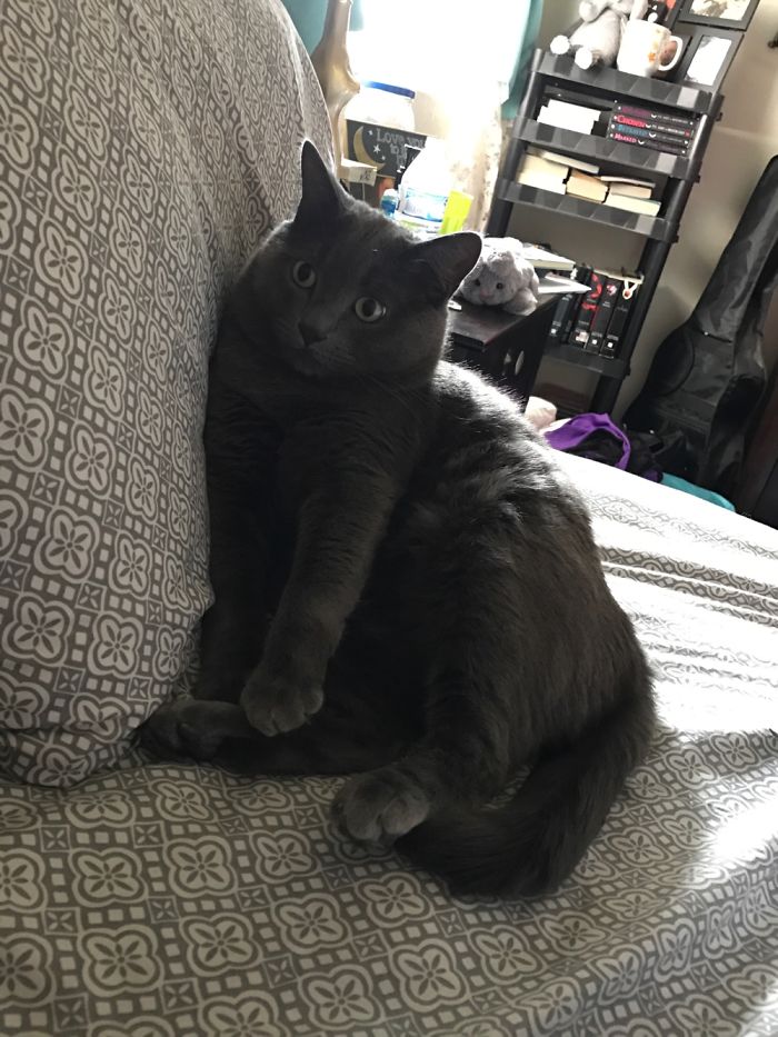 Rolled Over One Morning And Saw This.