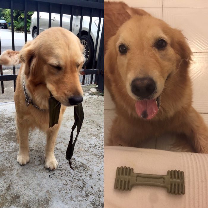 1 Year Old Vs 5 Year Old