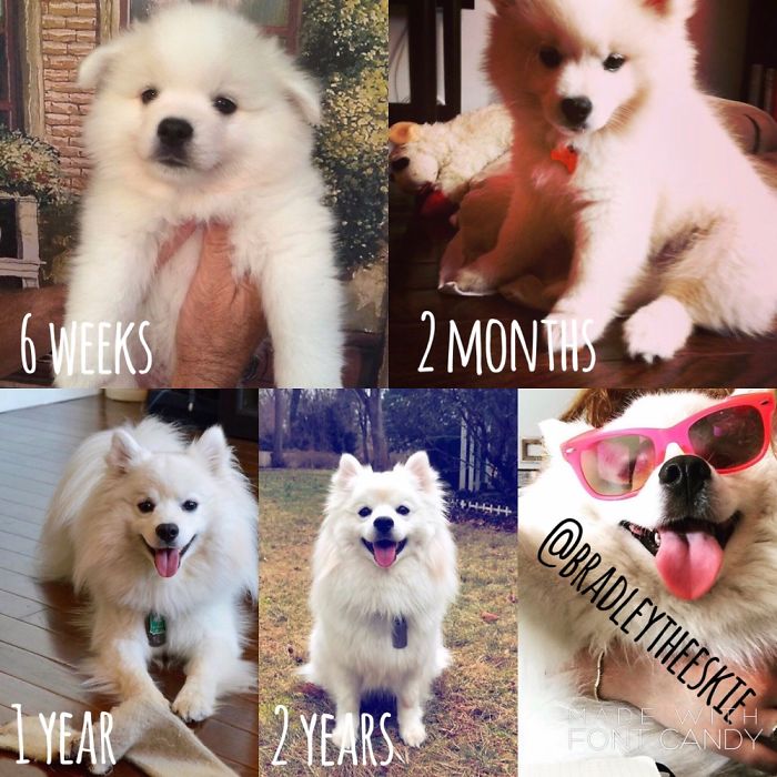 My Boy Bradley, 6 Weeks Old To Now