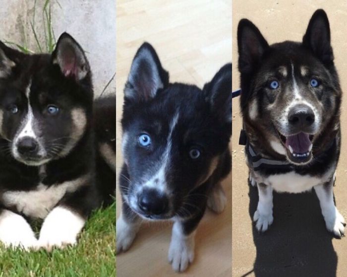 8 Weeks, 3 Months And 2 Years