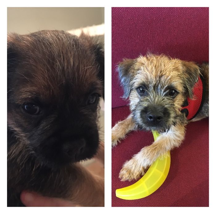 Dave's Only 4 Months Old... But Man Is He Growing Up Fast