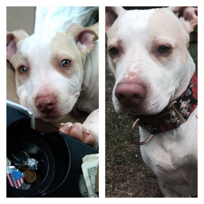 The Love Of My Life; They Grow Up So Fast 🙈