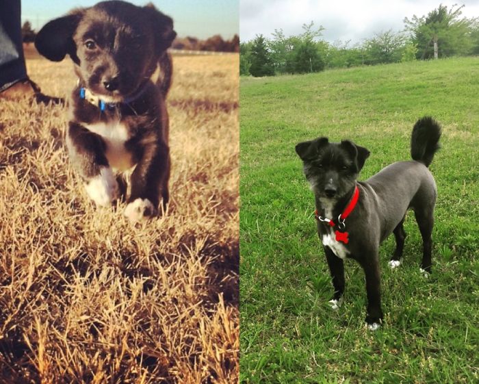 Max At 9 Weeks And 2 And A Half Years.