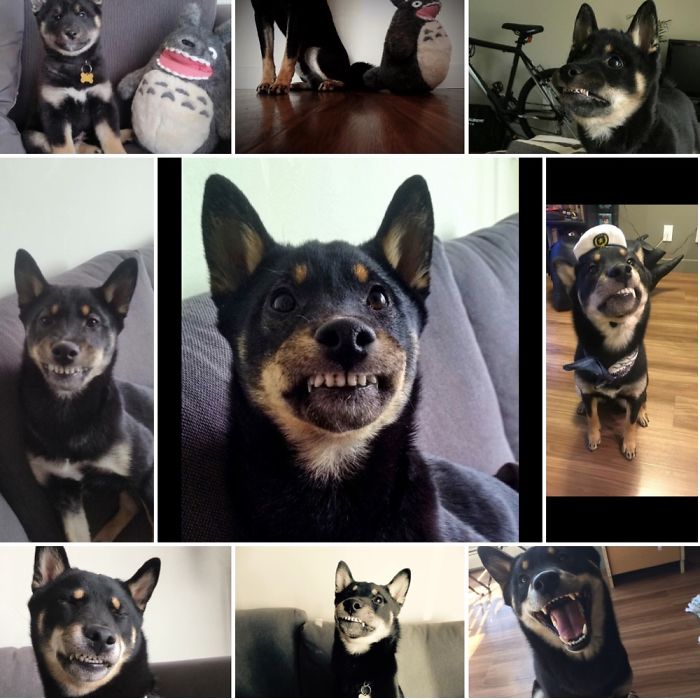 My Baby Is Growing Up To Fast 😥