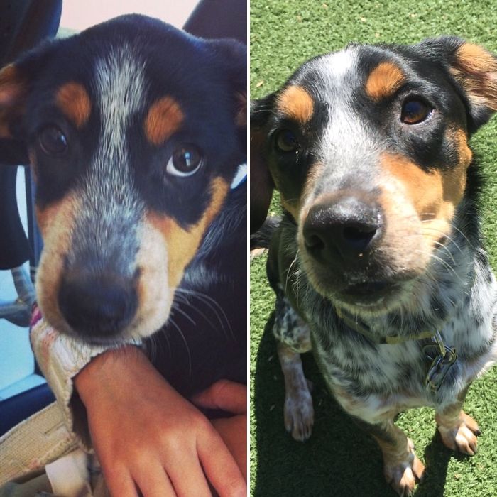 Woody At 3 Months & 3 Years.