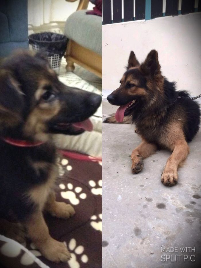 R.i.p Shot With A Cowards Bullet❤️