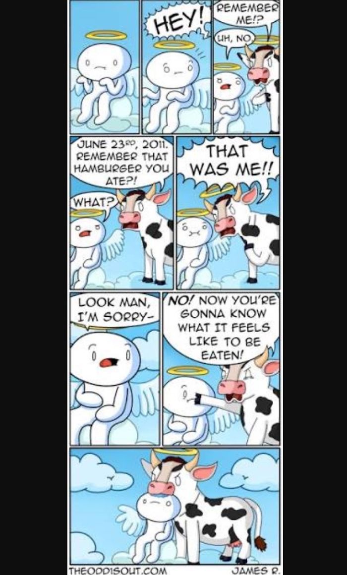 The Odd1sout Comics