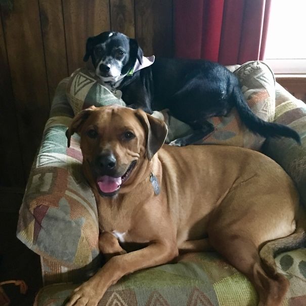 When You Want The Chair And Your Brother Won't Move.