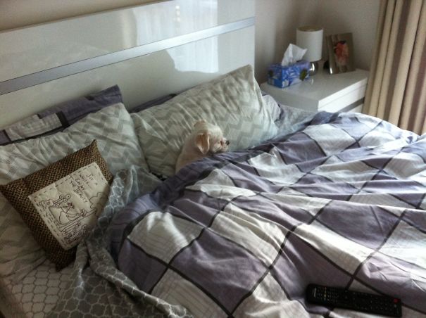 She Thins She's Human.