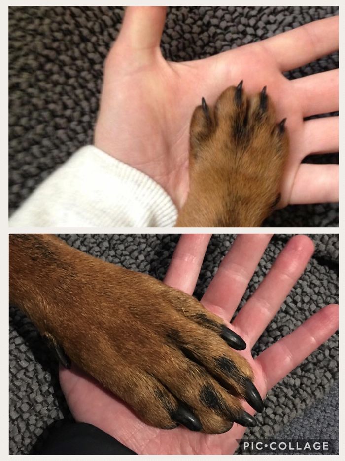 8 Weeks Vs 4 Years