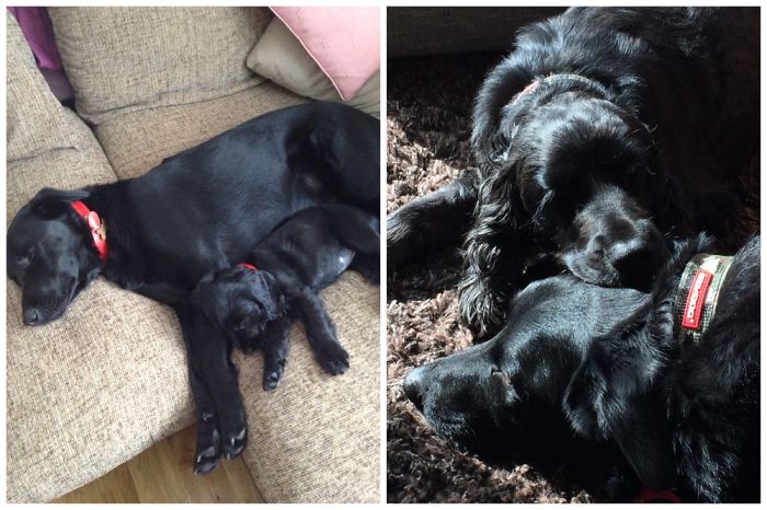 Now Too Big For Spoons