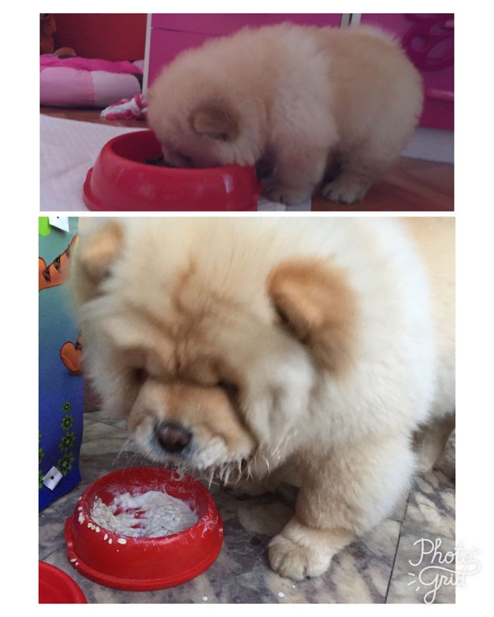 Bowl Is Still The Same 😂😂