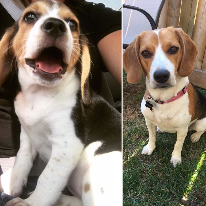 Penelope 3 Months And 1 Year