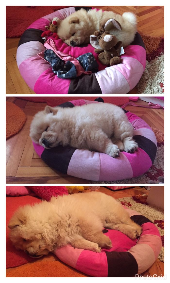 1 Month - 3 Months - 5 Months 🐾🐾🐾