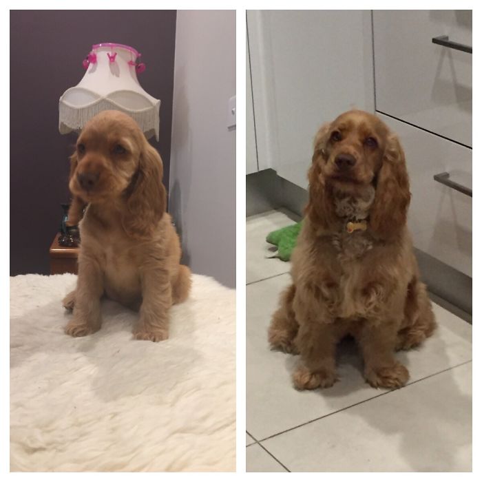 Artemis, 8 Weeks And 8 Months