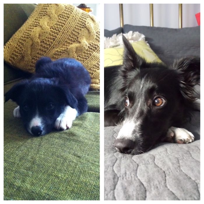 Ruby As A Baby And Ruby Now.