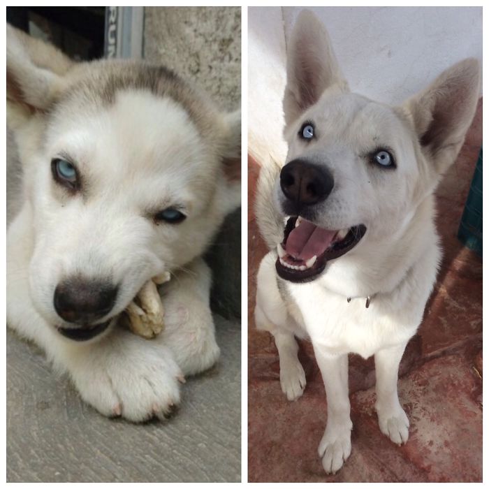 Baby Yanga Vs 1 Year Old Yanga 💛