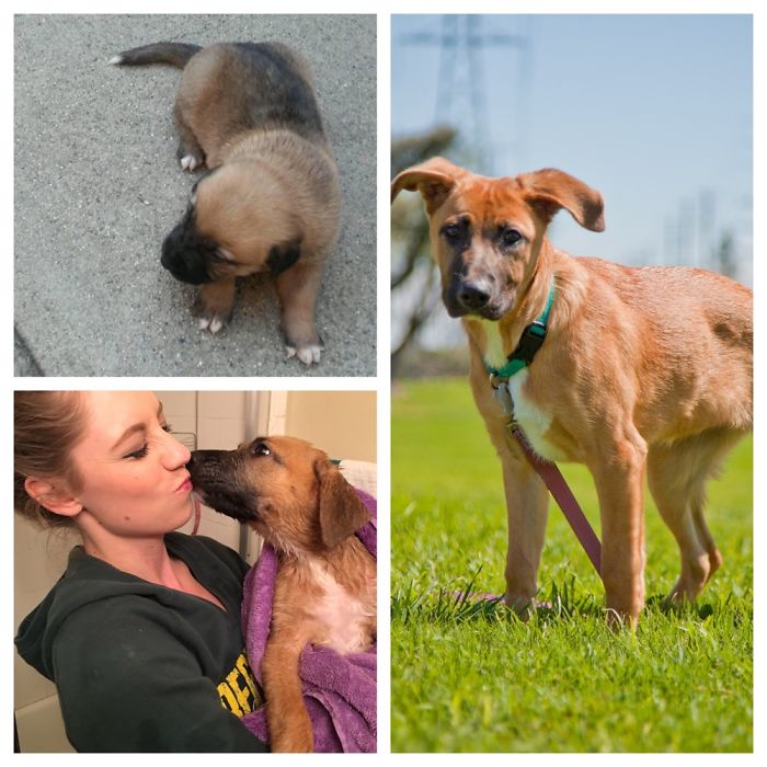 This Is Miss Kona From 2 Months To 7 Months!