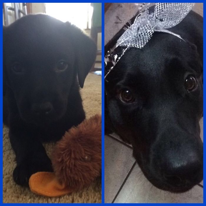 She's Grown So Big In Three Years