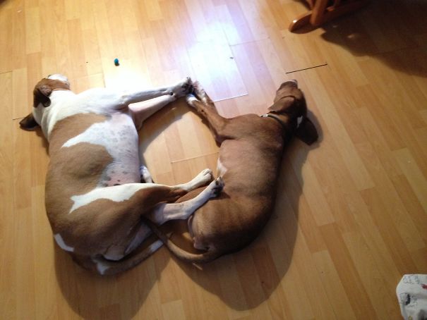 My Girls Are So Weird