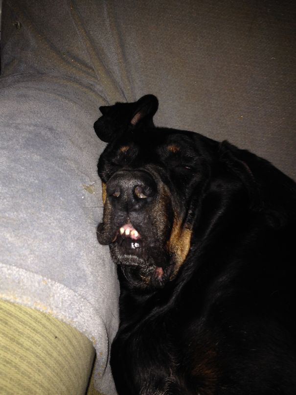 My Old Man Was Such A Doofus