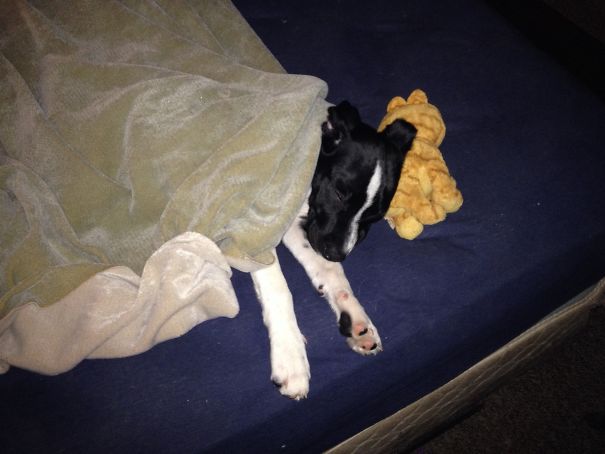 My Girls Likes To Tuck Herself In With Her Baby