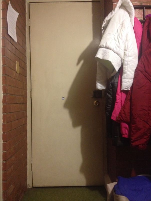 The Shadow Of My Jacket Looks Like A Mayan King.