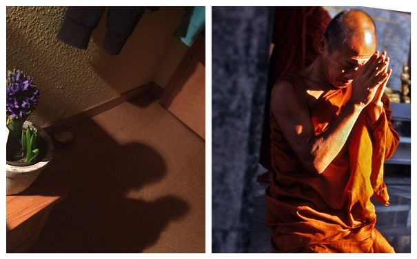 I Saw A Munk In My Room!