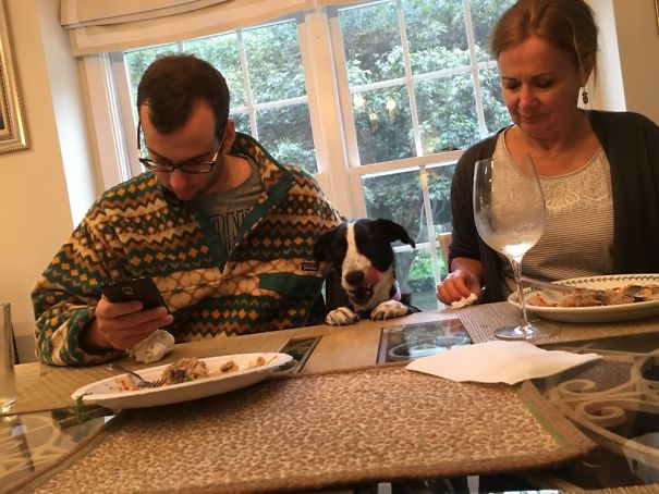 Luna Likes To Pop Up And Scope Out The Options