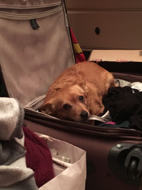 She Snuck Into My Room And Hid