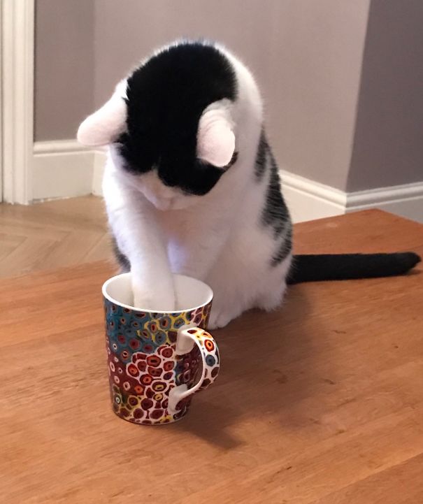 Is There Any Left For Me?