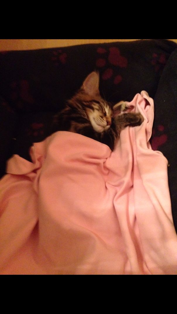 Lost My Soft Travel Towel... Found It.