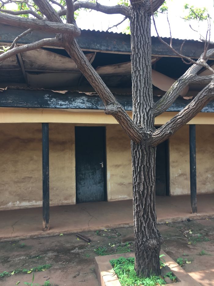 Save Our Library And The Reading Culture.