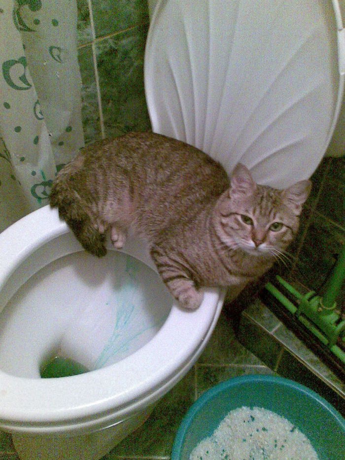 Just Gonna Sit Here, K?