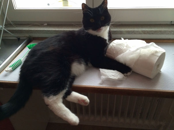 Uh....you're Home Early