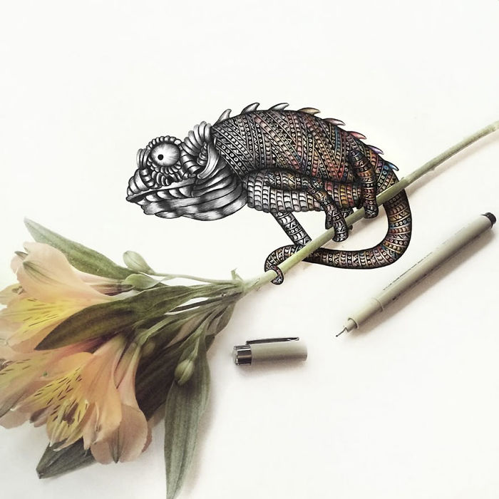 Intricate-animal-drawings-faye-halliday