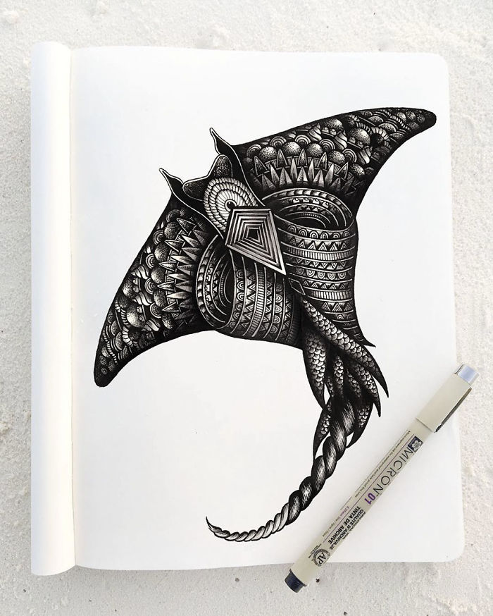 Animal Drawings