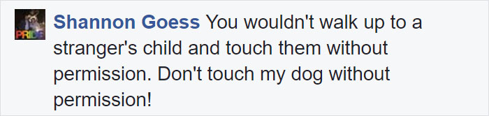 Paparazzo Touches Jennifer Lawrence's Dog, And Her Rude Reaction Sparks Heated Discussions Paparazzo Touches Jennifer Lawrence's Dog, And Her Rude Reaction Sparks Heated Discussions