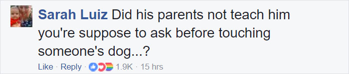 Paparazzo Touches Jennifer Lawrence's Dog, And Her Rude Reaction Sparks Heated Discussions Paparazzo Touches Jennifer Lawrence's Dog, And Her Rude Reaction Sparks Heated Discussions