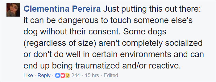 Paparazzo Touches Jennifer Lawrence's Dog, And Her Rude Reaction Sparks Heated Discussions Paparazzo Touches Jennifer Lawrence's Dog, And Her Rude Reaction Sparks Heated Discussions