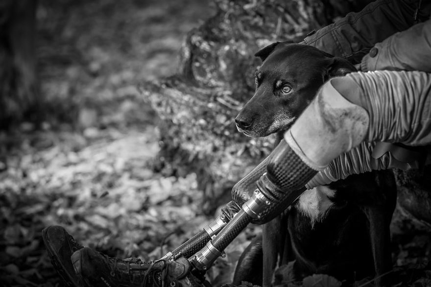 Assistance Dogs Charity Category 2nd Place Winner John Ferrett, UK