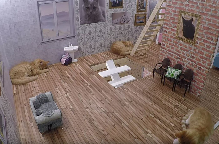 kittens-dollhouse-keeping-up-with-the-kattarshians-7 kittens-dollhouse-keeping-up-with-the-kattarshians-7