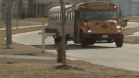 Dog Is Super Excited To See His Tiny Human Coming Home