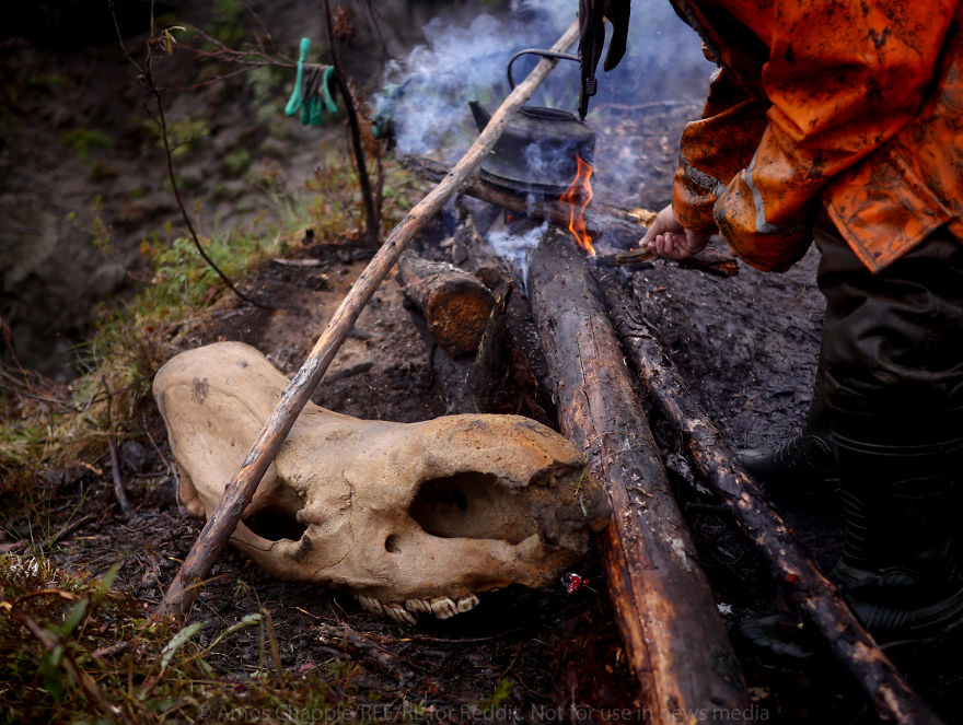 Photographer Joins Illegal Mammoth Tusk Hunt In Siberia, Captures How They Get Rich, Get Drunk And Nearly Die Photographer Joins Illegal Mammoth Tusk Hunt In Siberia, Captures How They Get Rich, Get Drunk And Nearly Die