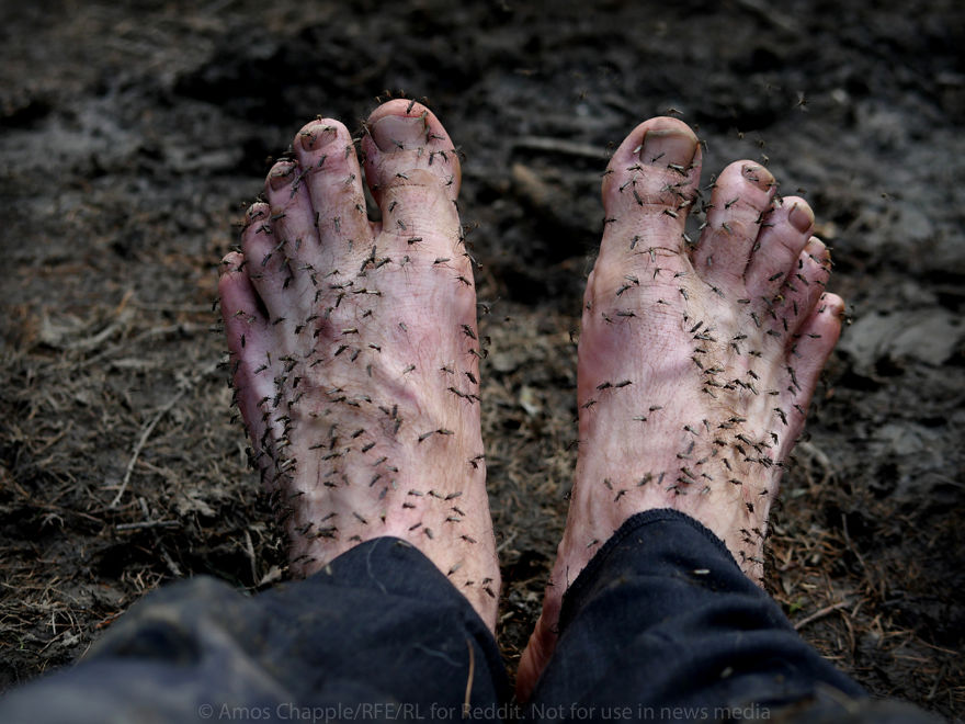 Photographer Joins Illegal Mammoth Tusk Hunt In Siberia, Captures How They Get Rich, Get Drunk And Nearly Die Photographer Joins Illegal Mammoth Tusk Hunt In Siberia, Captures How They Get Rich, Get Drunk And Nearly Die