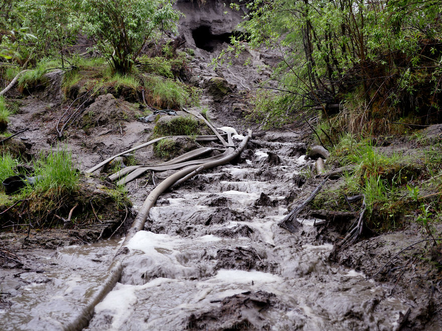 Photographer Joins Illegal Mammoth Tusk Hunt In Siberia, Captures How They Get Rich, Get Drunk And Nearly Die Photographer Joins Illegal Mammoth Tusk Hunt In Siberia, Captures How They Get Rich, Get Drunk And Nearly Die