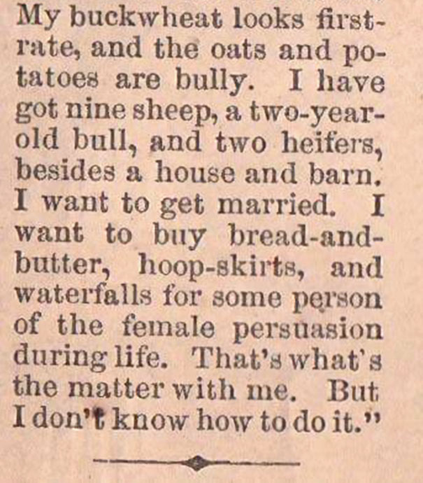 man-looking-for-wife-ad-nineteenth-century-4 man-looking-for-wife-ad-nineteenth-century-4